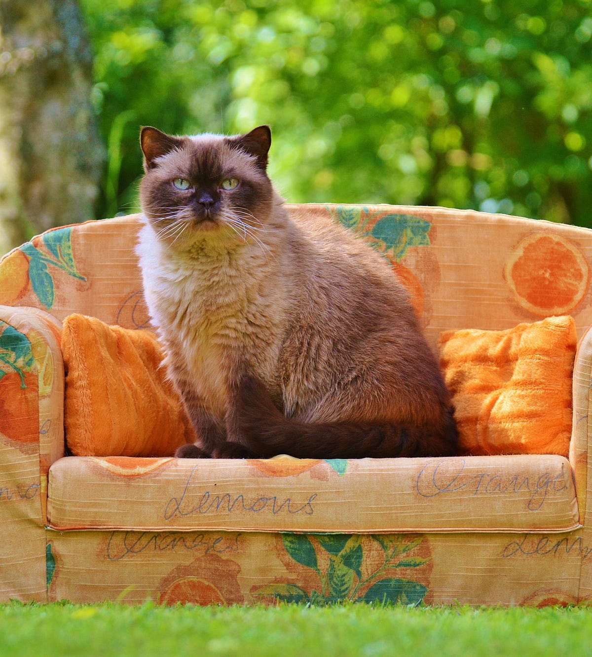 Furniture Photography for Outdoor Sofa