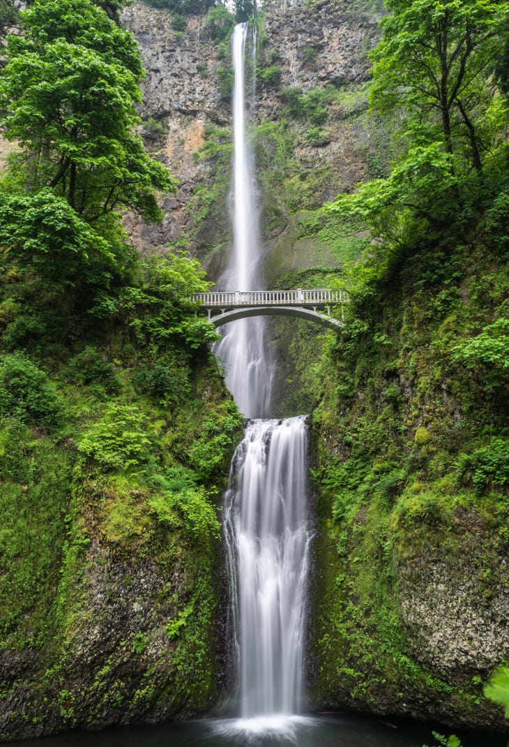 Nature & Wildlife Photography Waterfall