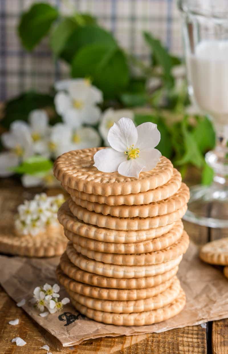 Biscuits Photography